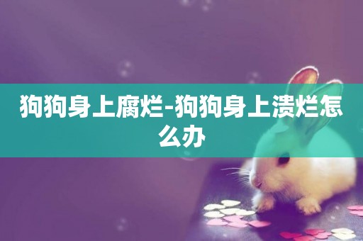 狗狗身上腐爛-狗狗身上潰爛怎么辦