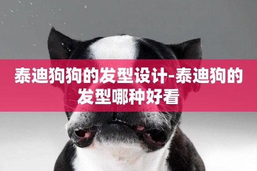 泰迪狗狗的發型設計-泰迪狗的發型哪種好看