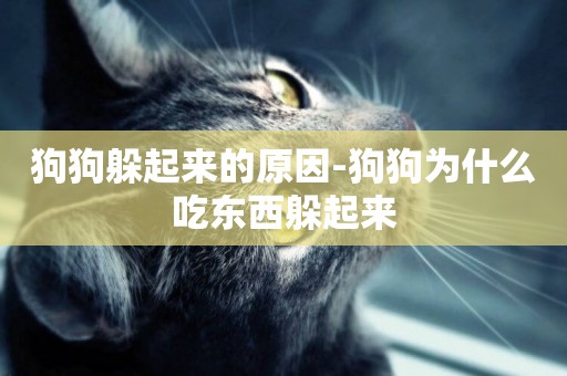 狗狗躲起來的原因-狗狗為什么吃東西躲起來