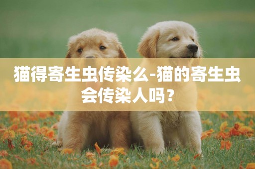 貓得寄生蟲傳染么-貓的寄生蟲會傳染人嗎？
