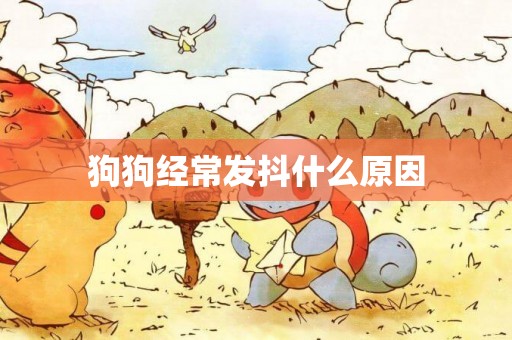 狗狗經常發抖什么原因