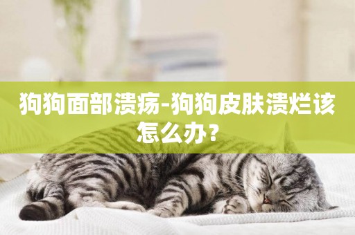 狗狗面部潰瘍-狗狗皮膚潰爛該怎么辦？