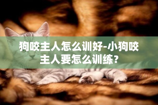狗咬主人怎么訓好-小狗咬主人要怎么訓練？