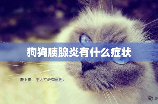 狗狗胰腺炎有什么癥狀