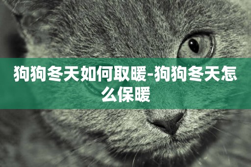 狗狗冬天如何取暖-狗狗冬天怎么保暖