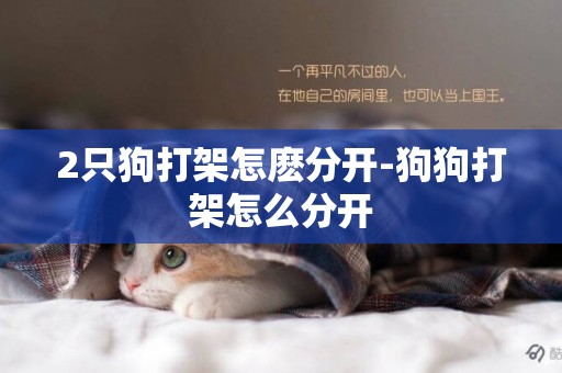 2只狗打架怎麼分開-狗狗打架怎么分開