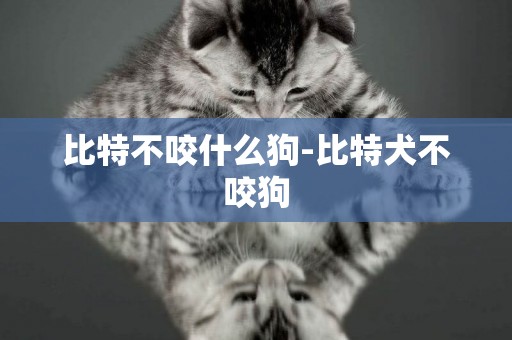 比特不咬什么狗-比特犬不咬狗
