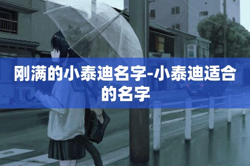 剛滿的小泰迪名字-小泰迪適合的名字