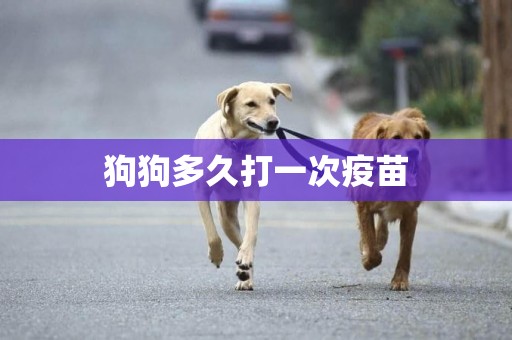 狗狗多久打一次疫苗