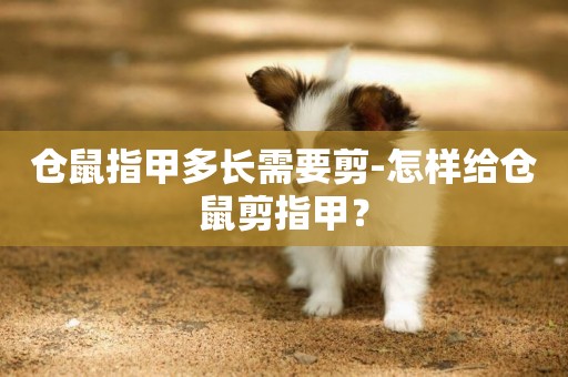 倉鼠指甲多長需要剪-怎樣給倉鼠剪指甲？