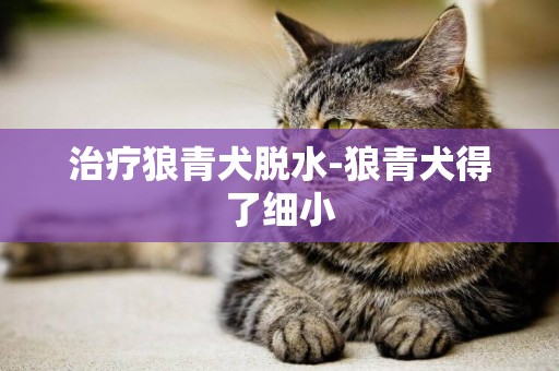 治療狼青犬脫水-狼青犬得了細小