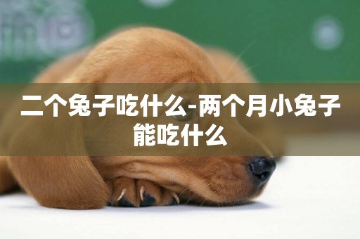 二個兔子吃什么-兩個月小兔子能吃什么