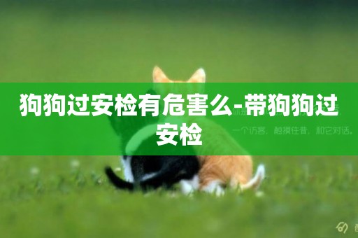 狗狗過安檢有危害么-帶狗狗過安檢