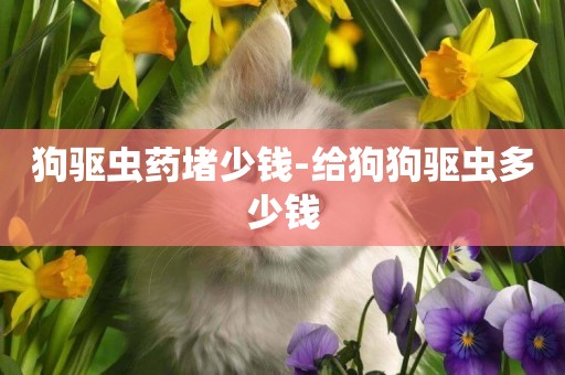 狗驅蟲藥堵少錢-給狗狗驅蟲多少錢