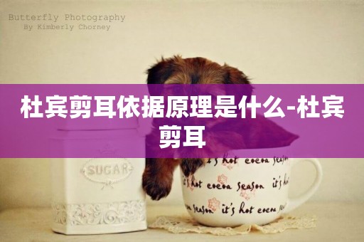 杜賓剪耳依據原理是什么-杜賓剪耳