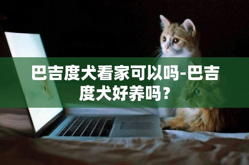 巴吉度犬看家可以嗎-巴吉度犬好養嗎？
