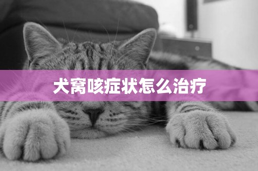 犬窩咳癥狀怎么治療