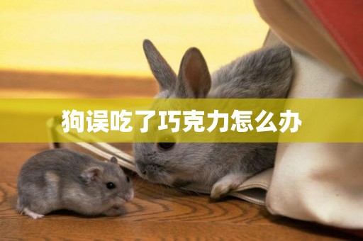 狗誤吃了巧克力怎么辦