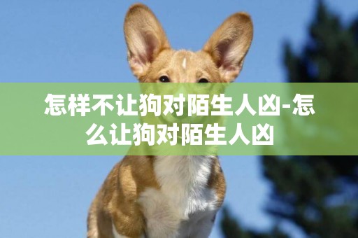 怎樣不讓狗對陌生人兇-怎么讓狗對陌生人兇