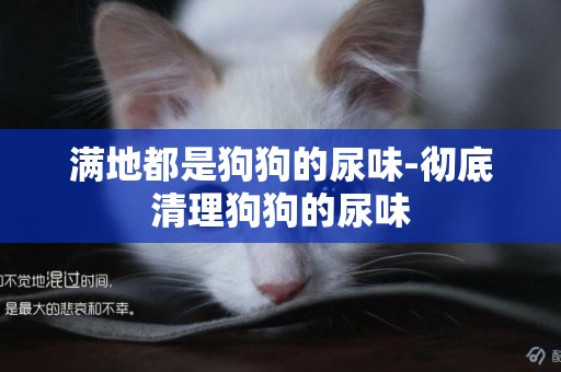 滿地都是狗狗的尿味-徹底清理狗狗的尿味