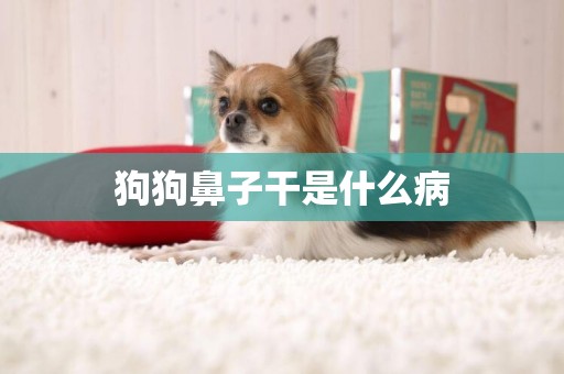 狗狗鼻子干是什么病
