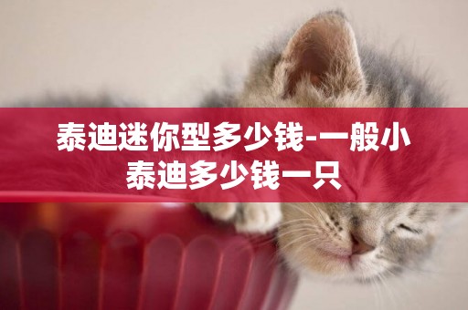 泰迪迷你型多少錢-一般小泰迪多少錢一只