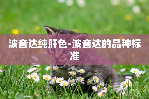 波音達純肝色-波音達的品種標準