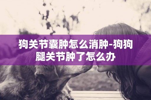 狗關節囊腫怎么消腫-狗狗腿關節腫了怎么辦