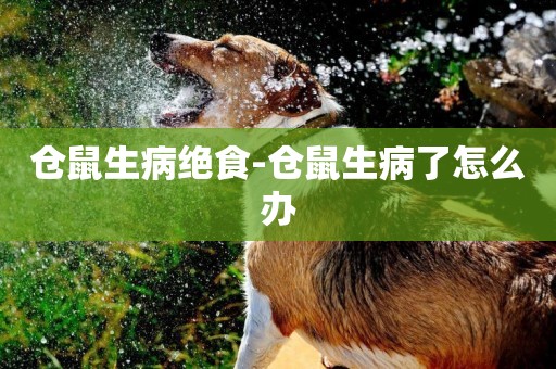 倉鼠生病絕食-倉鼠生病了怎么辦