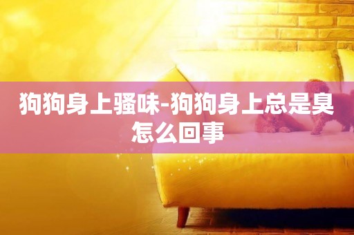 狗狗身上騷味-狗狗身上總是臭怎么回事