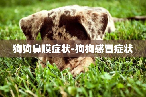 狗狗鼻膜癥狀-狗狗感冒癥狀