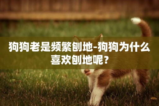 狗狗老是頻繁刨地-狗狗為什么喜歡刨地呢？