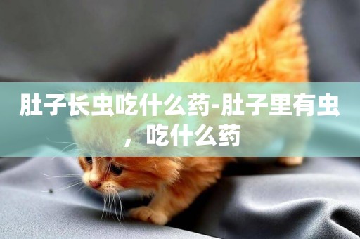肚子長蟲吃什么藥-肚子里有蟲，吃什么藥