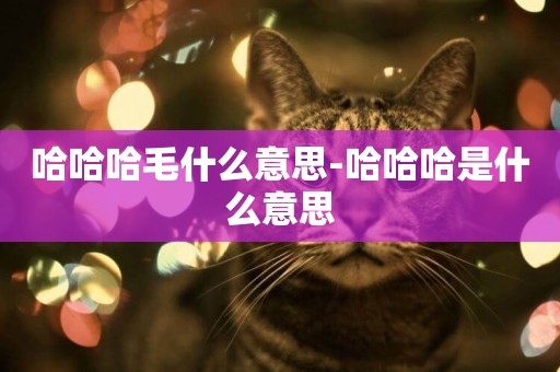 哈哈哈毛什么意思-哈哈哈是什么意思