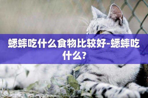 蟋蟀吃什么食物比較好-蟋蟀吃什么?