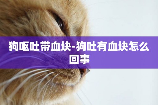 狗嘔吐帶血塊-狗吐有血塊怎么回事