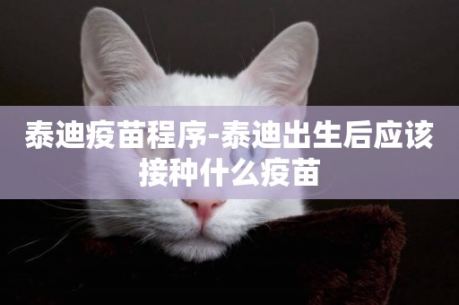 泰迪疫苗程序-泰迪出生后應該接種什么疫苗