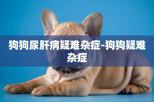 狗狗尿肝病疑難雜癥-狗狗疑難雜癥