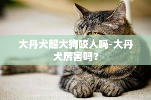 大丹犬超大狗咬人嗎-大丹犬厲害嗎？