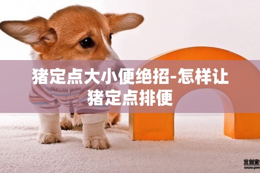 豬定點大小便絕招-怎樣讓豬定點排便