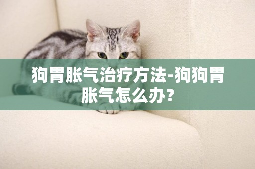 狗胃脹氣治療方法-狗狗胃脹氣怎么辦？