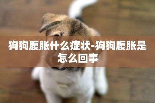 狗狗腹脹什么癥狀-狗狗腹脹是怎么回事