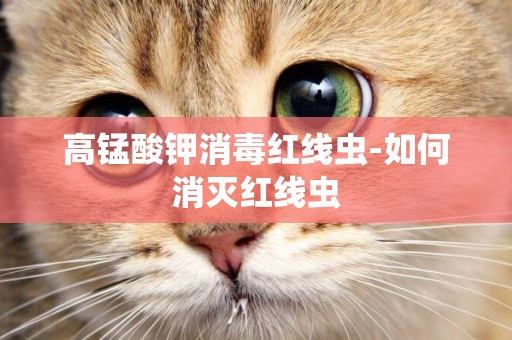 高錳酸鉀消毒紅線蟲-如何消滅紅線蟲