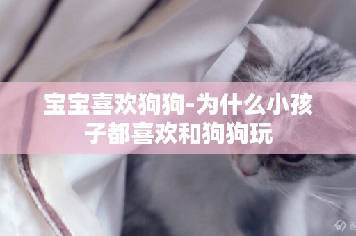 寶寶喜歡狗狗-為什么小孩子都喜歡和狗狗玩