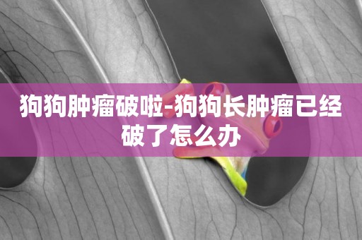 狗狗腫瘤破啦-狗狗長腫瘤已經破了怎么辦