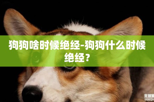 狗狗啥時候絕經-狗狗什么時候絕經？
