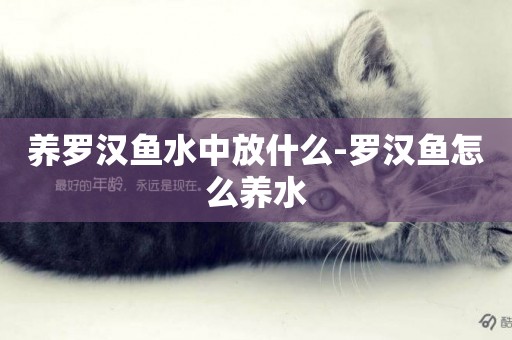 養羅漢魚水中放什么-羅漢魚怎么養水