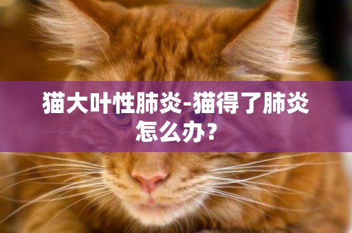 貓大葉性肺炎-貓得了肺炎怎么辦？