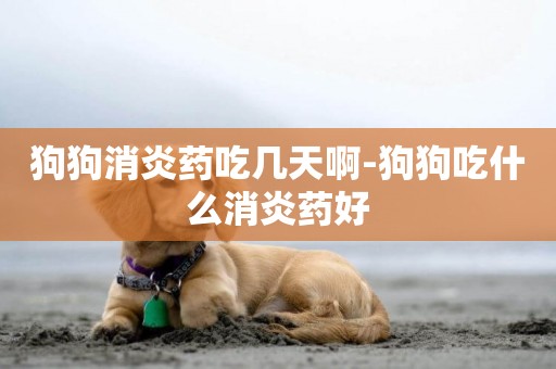 狗狗消炎藥吃幾天啊-狗狗吃什么消炎藥好
