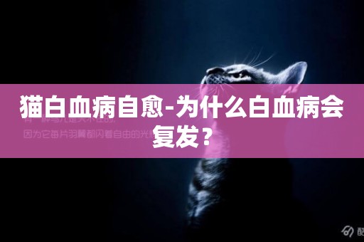 貓白血病自愈-為什么白血病會復發？